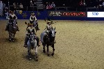Quadrille - 00651